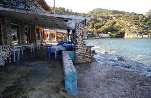 Palm tree house by the beach - Foto 53