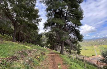 Casa Vacanze Villa Ale - Foto 23