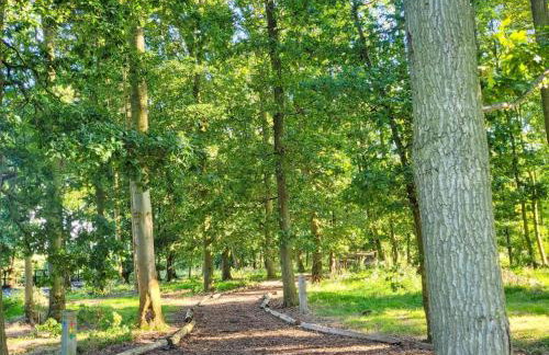 Hay's Wood Retreat - Holiday Lodges - Foto 10