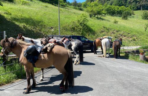 Gasthof zur Sägemühle - Foto 31