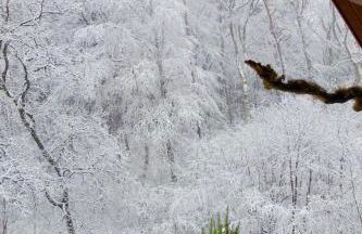 Ferienwohnung Haus am Wald - Foto 72
