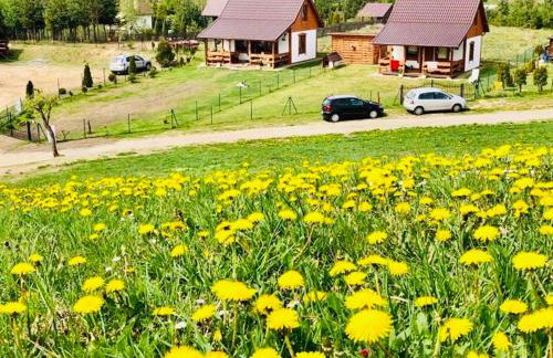 Domki Eden z Ballią - Foto 58