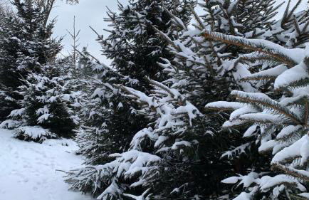 Apartament Hakerówka - Foto 52