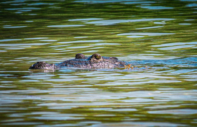 Excursión a Sian Ka’an - Foto 5
