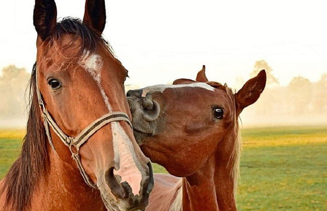 6 Person Holiday Home in Ekero-by Traum - Photo 10