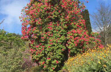 Valle Paraizo - Foto 48