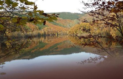 Eifellounge - Foto 68