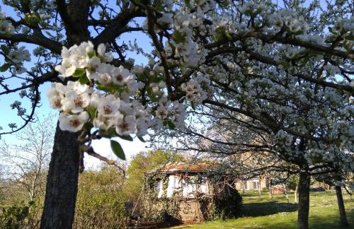 Landtraum im Traumland Mecklenburg - Foto 34