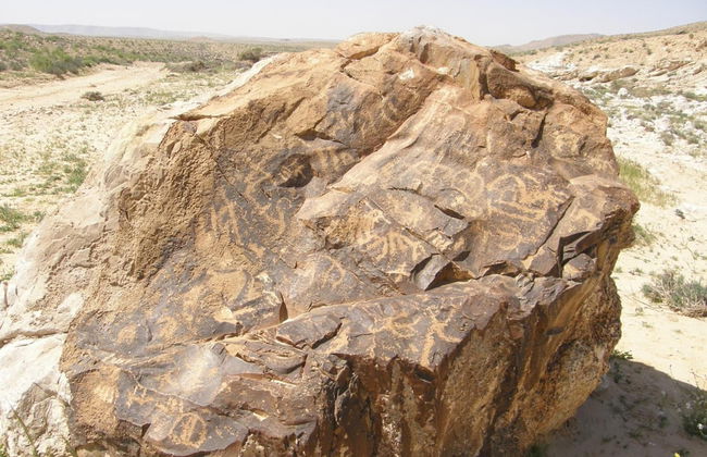 Hadass Desert Inn - Foto 27