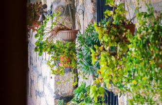 Leiras de Candoz Douro Valley - Foto 13