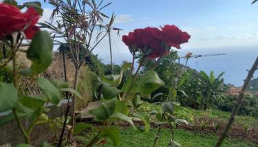 Varanda Encantada House - Photo 2, Garden