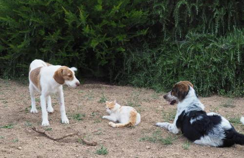 Stazzu Giasti Agriturismo - Photo 65