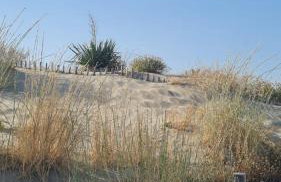 La Caravelle entre Plage et Centre Ville - Foto 23