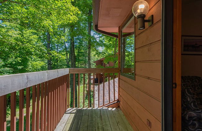 The Rushes - Foto 63