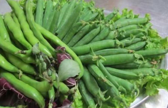 Agriturismo le Spighe - Fattoria Bertaccini - Foto 34