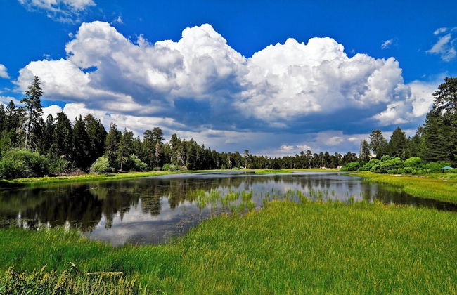 Moreno Pines Cottage #2468 - Foto 20