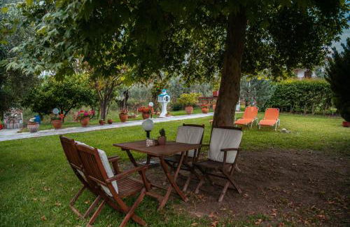 Viki Studios - Foto 12