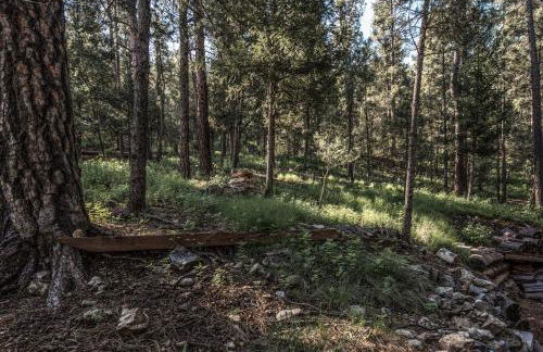 Rock'inn Pines by Ruidoso Vacation Rentals - Foto 48