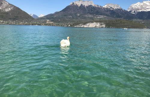 Appartement Sevrier terrasse et jardin - Foto 44