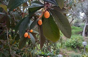 Agriturismo Tenuta Mariani - Foto 43