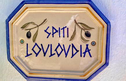 Blumenhaus (Spiti Louloudia) - Foto 39