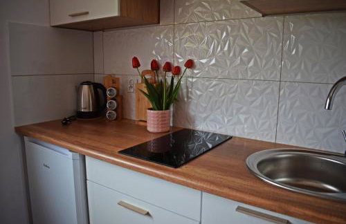 Apartament Domowe Zacisze 1 - Foto 8