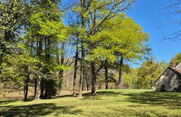 Domaine des Aulnaies - Beauval - Mareuil sur Cher - Foto 21