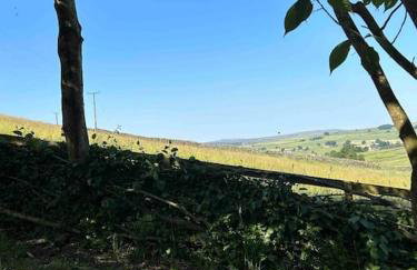 Springhill Studio, Brimham Rocks Yorkshire Dales - Photo 9