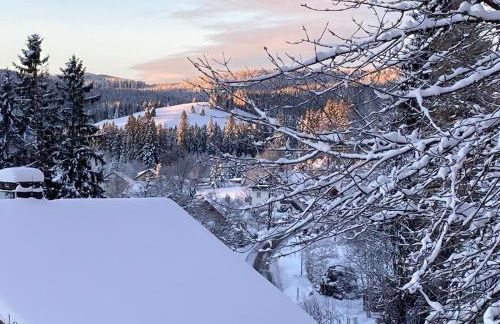 Ferienwohnung Tannenblick - 3 Schlafzimmer, Feldberg-Falkau - Photo 13