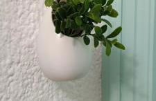 Apartamento turístico "Mi casina" AT-CC-00782 - Foto 31