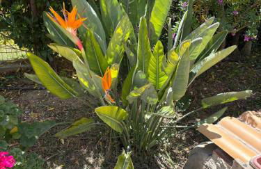 Casa Vacanze La Cuntintizza - Photo 6