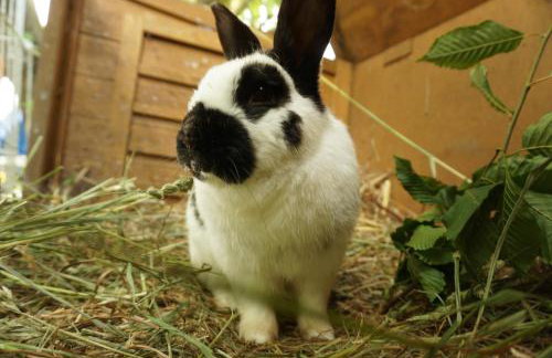 Ferienwohnung Atteltal - Foto 32