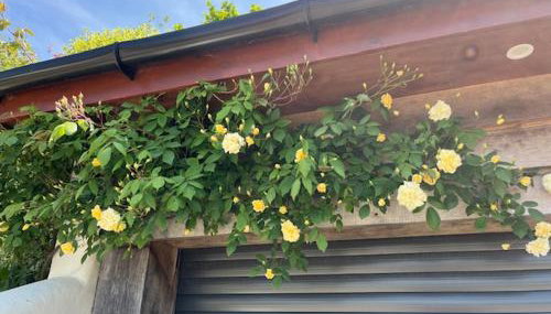 The Roost in the Blackdowns - Photo 2, Garden