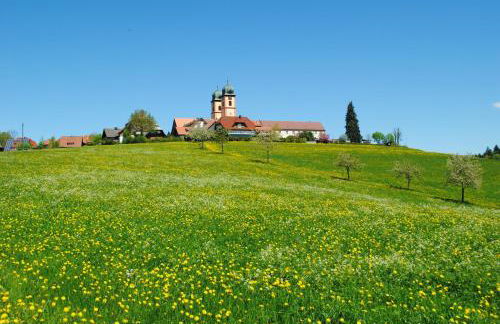 Feldbergblick - Foto 21