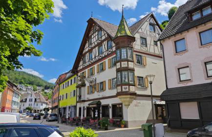 Schwarzwaldraum Schlossblick - Foto 31