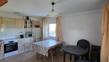 Domek nad Wkrą, okolice Sochocina, kajaki - Foto 5