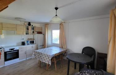 Domek nad Wkrą, okolice Sochocina, kajaki - Foto 5