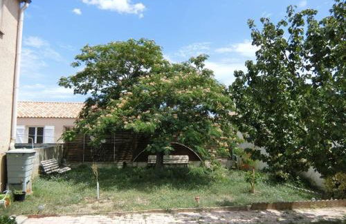 Coquet appartement T2 en pavillon - Foto 1