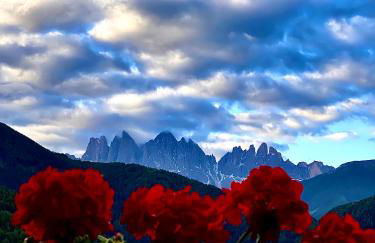 Oberprantschöllhof - Horse Mountain Stable - Foto 8