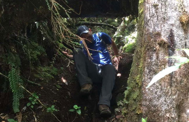 Cerro Morrogacho Reserve Tour - Photo 8