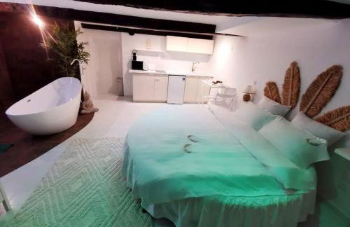 Studio équipé avec Lit rond / baignoire ilot / Table massage Aux Arcs - Foto 3