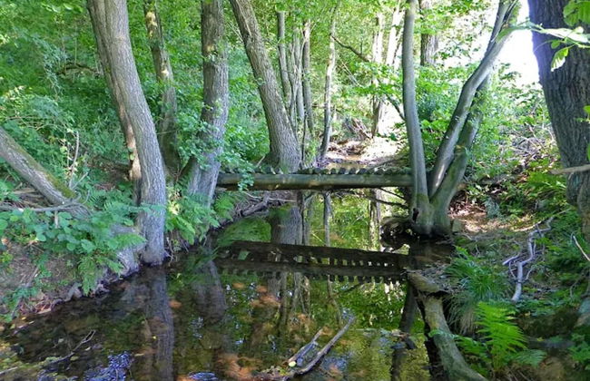 Ferienwohnung mit Garten auf dem Bauernhof - Foto 26