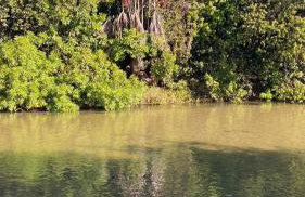 CANTINHO DA ROSA ac - RIO PRIVATIVO - Foto 9