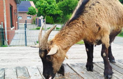 Bed and Bike Rheine - Foto 58