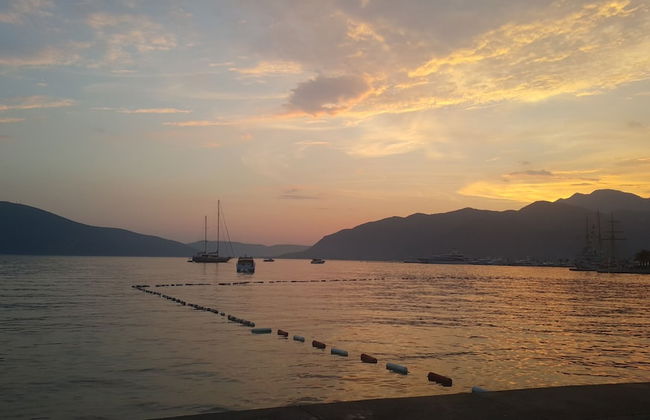 Sea star Danica - Foto 44