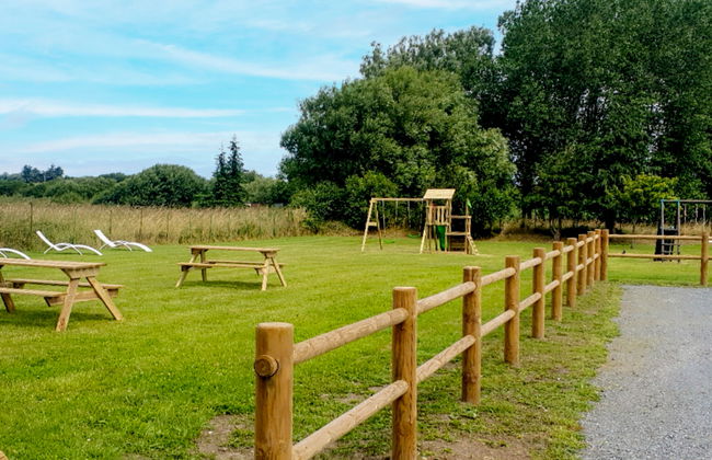 La salicorne - Foto 15