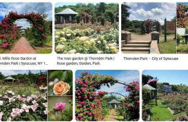 Syracuse Vacation Rental free Parking,near SU,town - Foto 30