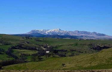 La Roulotte romantique des volcans - Foto 19