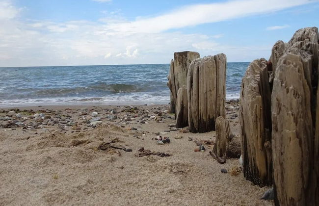 4 Person Holiday Home in Graested - Foto 47