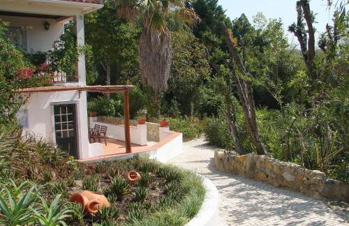 Quinta Verde Sintra - Casa de Campo - Foto 32